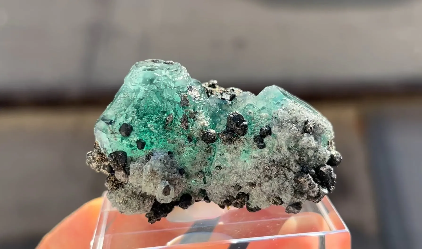 Fluorite with Pyrite and Geocronite-Jordanite - image 5