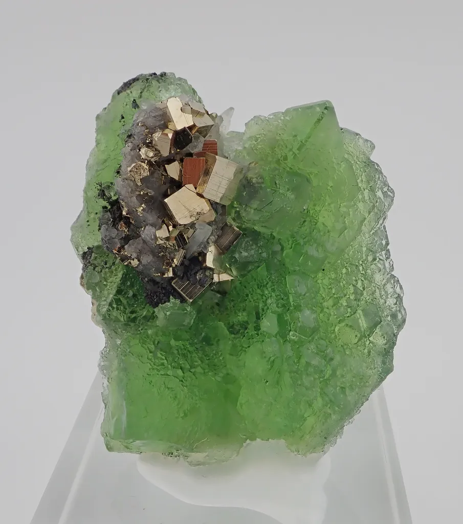 Fluorite with Pyrite and Quartz image