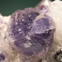 Fluorite with Pyrite and Tetrahedrite on Quartz - image 2