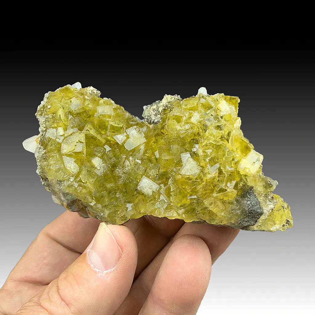 Fluorite with Pyrite, Calcite image