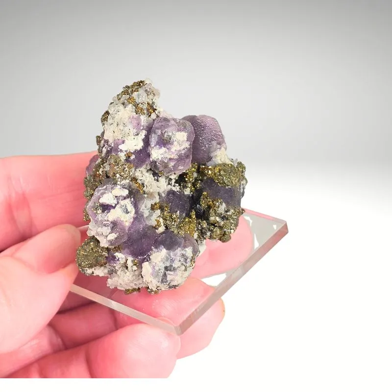 Fluorite with Pyrite — Cerro de Pasco, Pasco Region, Peru - image 7