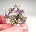 Fluorite with Pyrite — Cerro de Pasco, Pasco Region, Peru - image 5