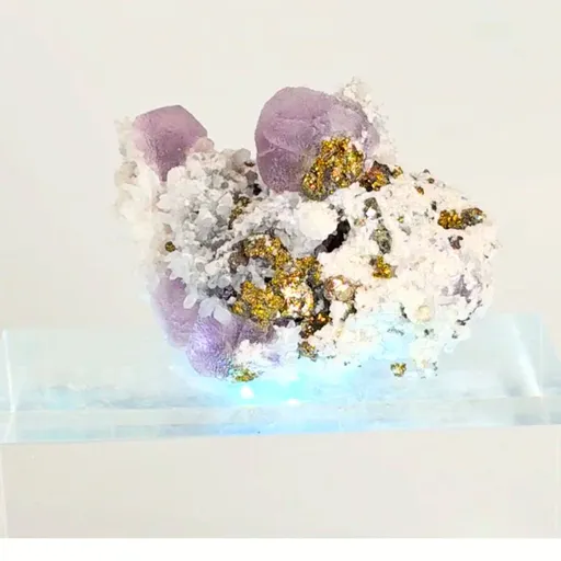 specimen video