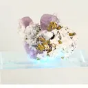specimen video