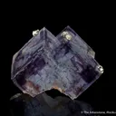 Fluorite with Pyrite - image 2