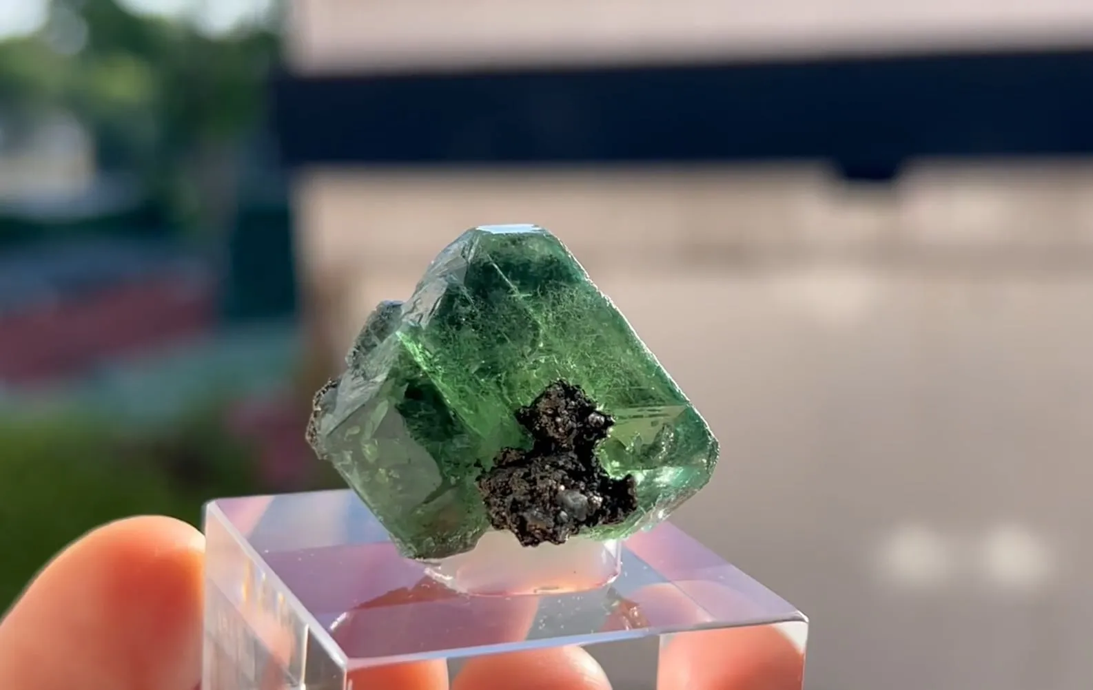 Fluorite with Pyrite - image 5
