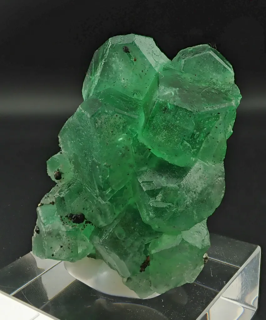 Fluorite with Pyrite image
