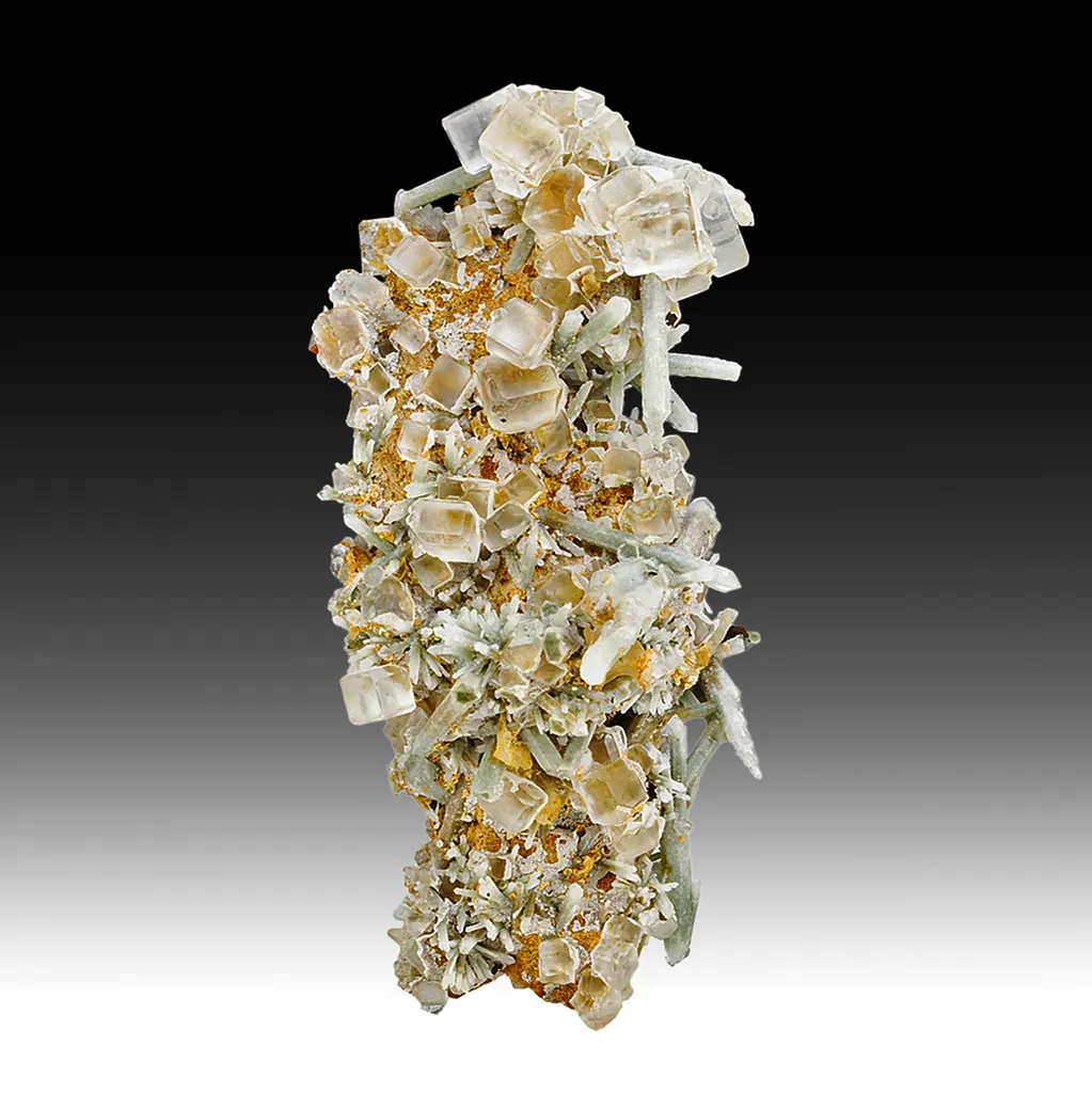 Fluorite with Quartz image