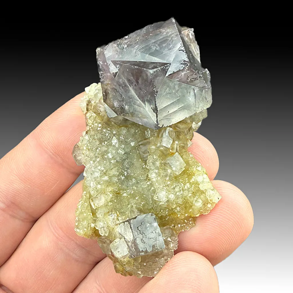 Fluorite with Quartz image