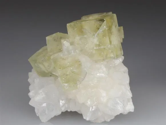 Fluorite with Quartz image
