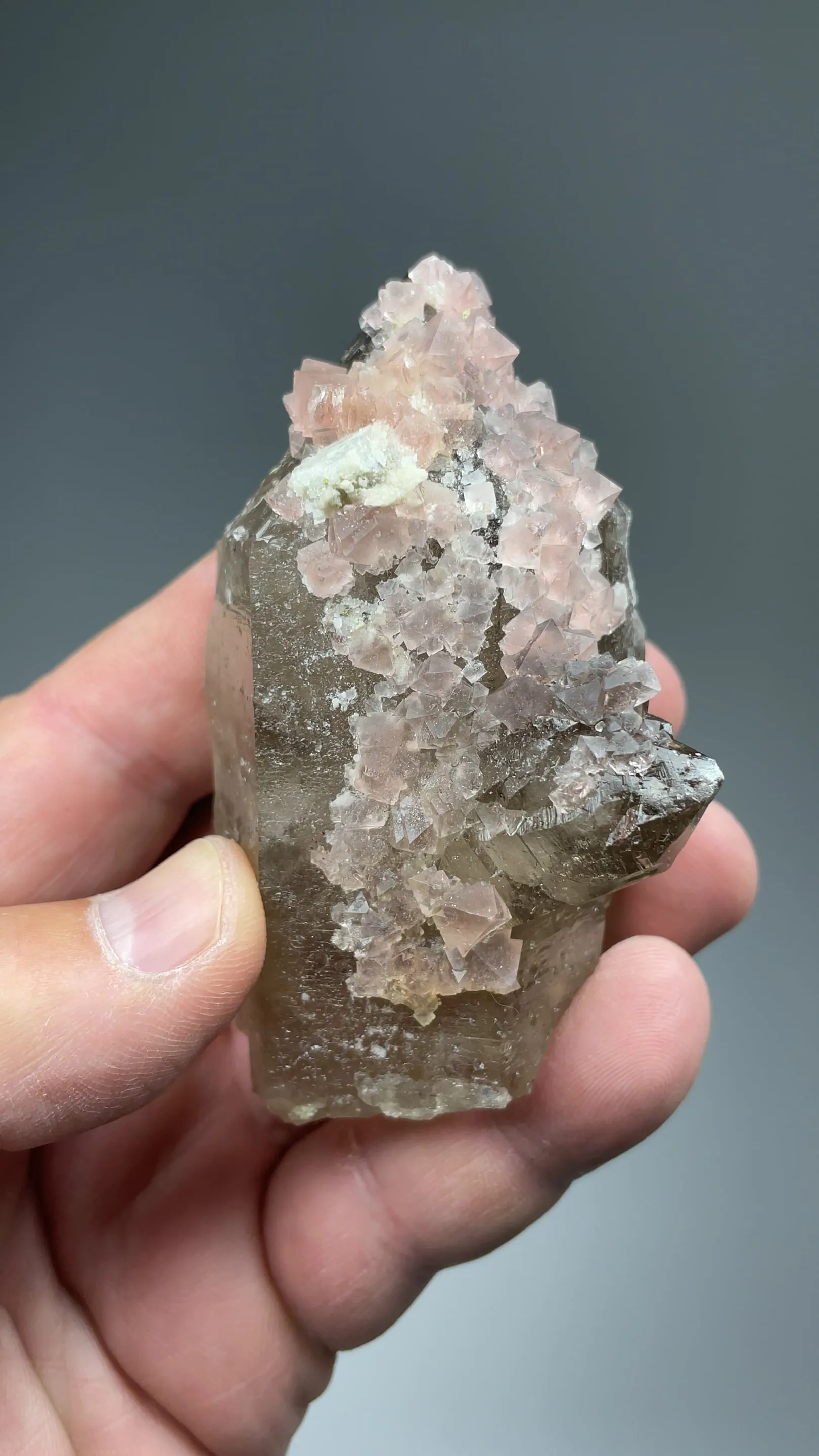 Fluorite with Quartz - image 2