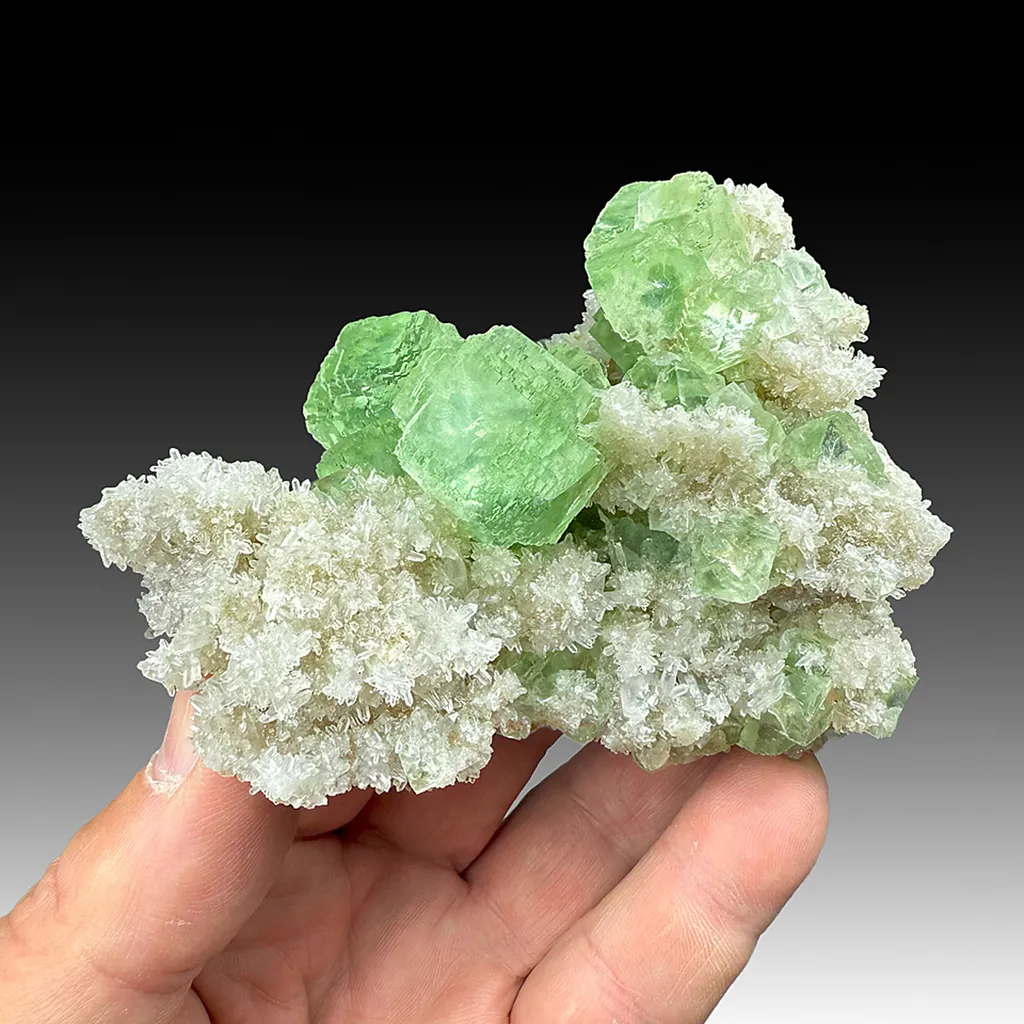 Fluorite with Quartz image