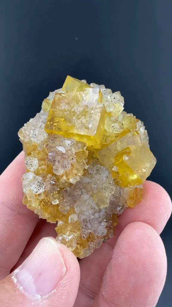 Fluorite with Quartz image