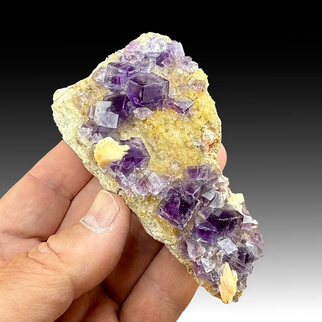 Fluorite with Quartz image