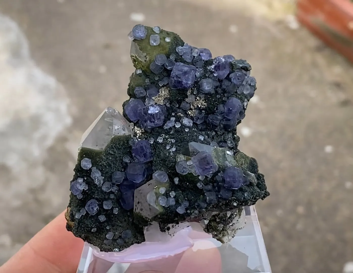 Fluorite with Quartz and Chlorite - image 5