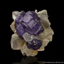 Fluorite with Quartz and Muscovite on Siderite - image 4