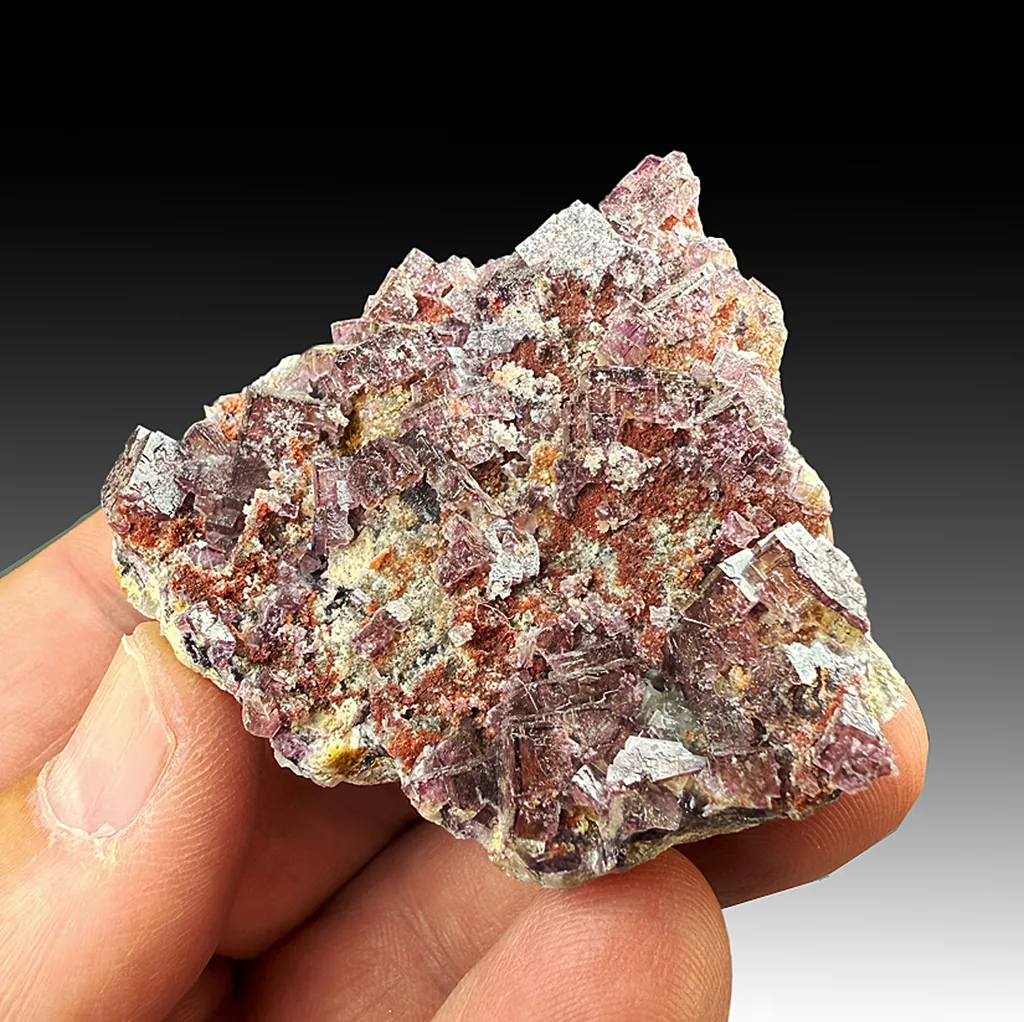 Fluorite with Quartz image