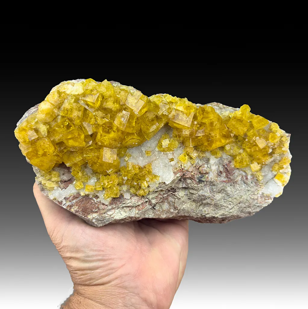 Fluorite with Quartz image