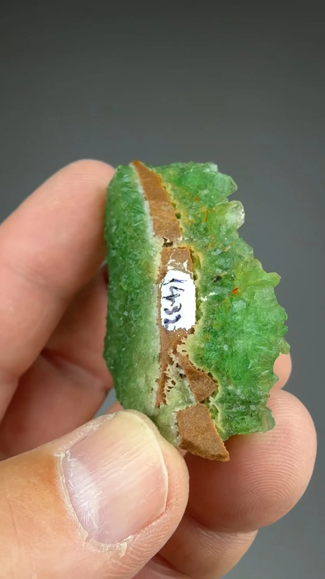 Fluorite with Quartz - image 2