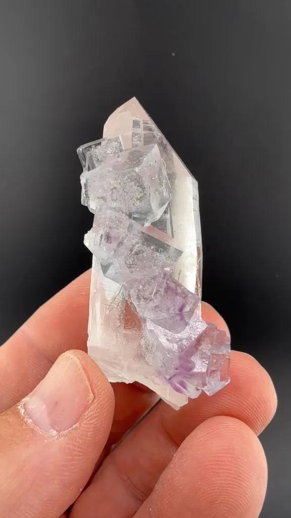 Fluorite with Quartz image