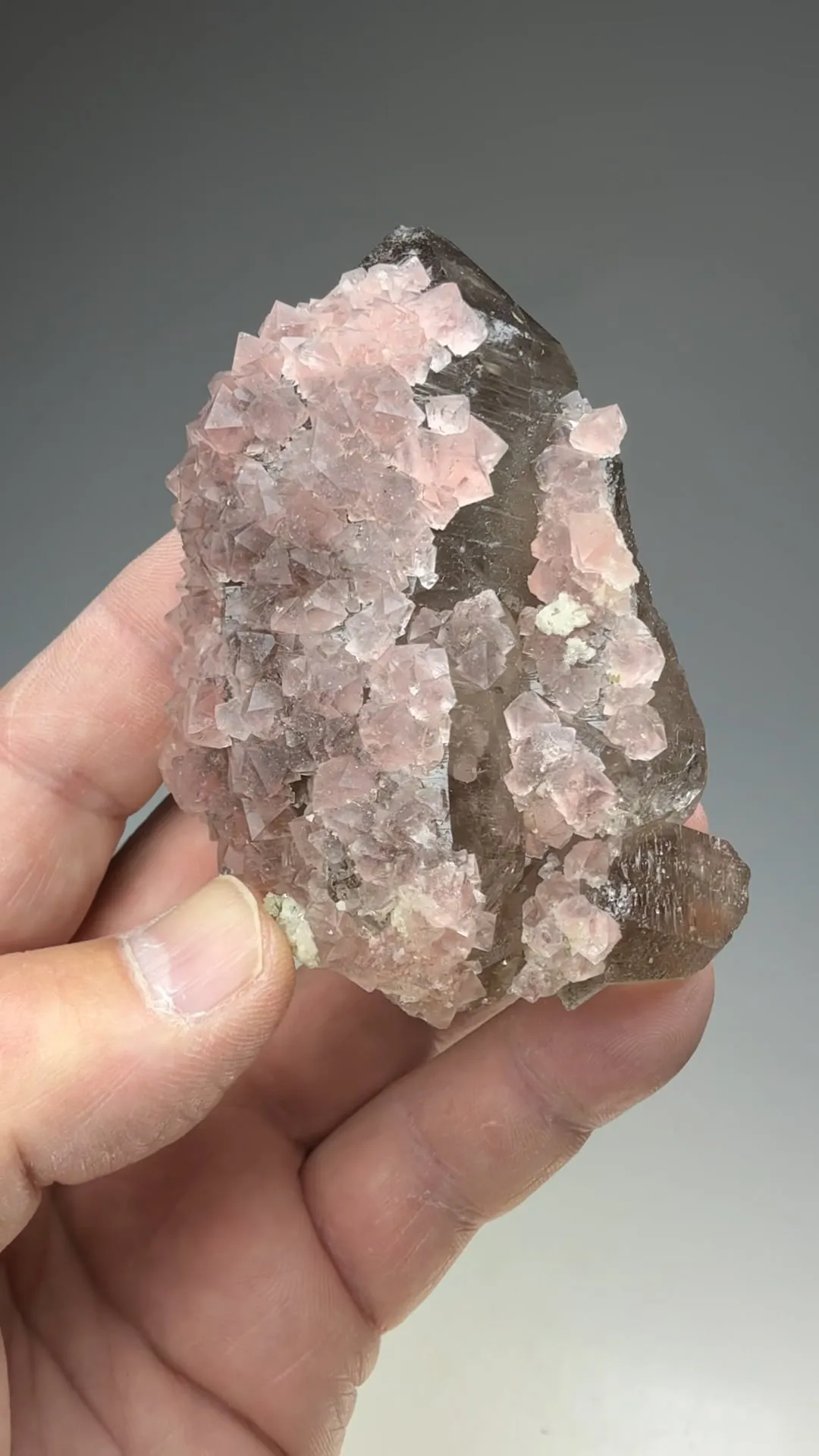 Fluorite with Quartz - image 2