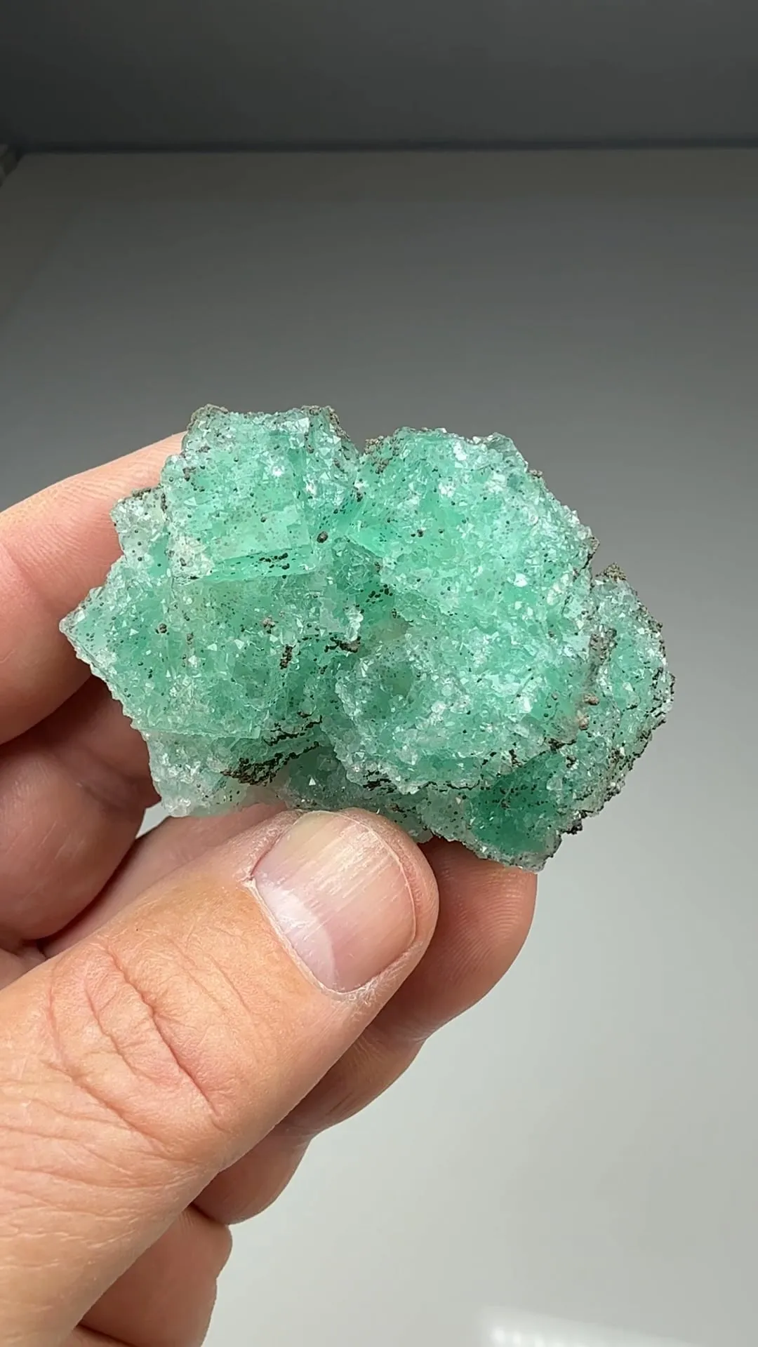 Fluorite with Quartz, Pyrite - image 2