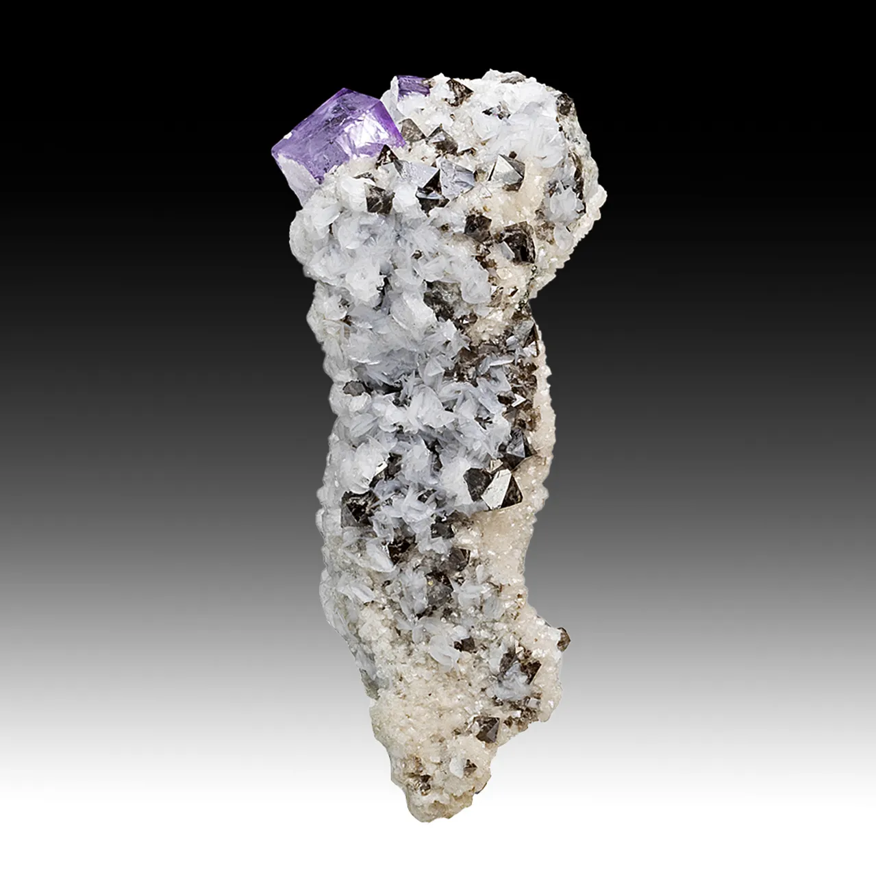 Fluorite with Scheelite, Calcite, Quartz - image 1