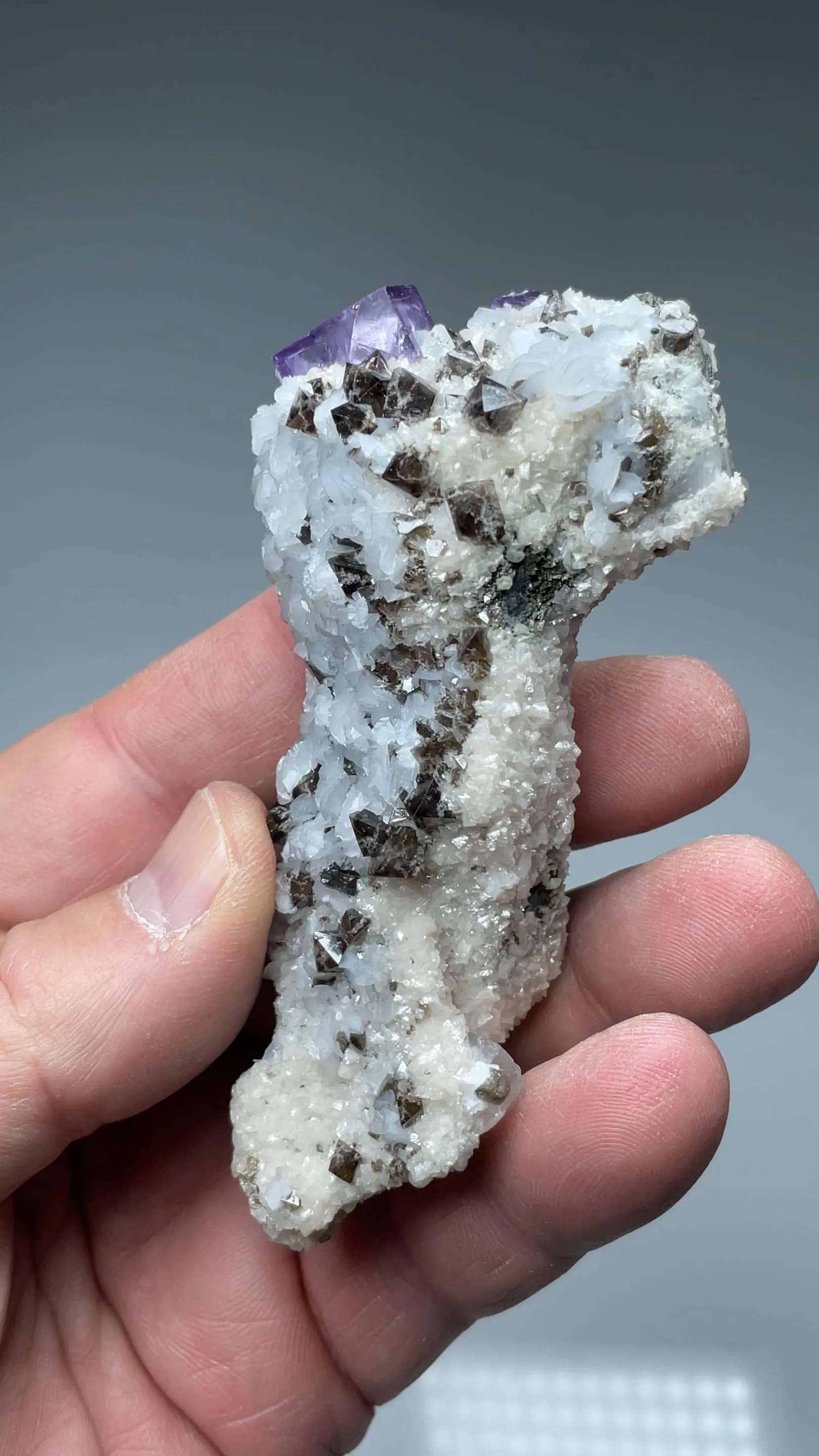 Fluorite with Scheelite, Calcite, Quartz - image 2
