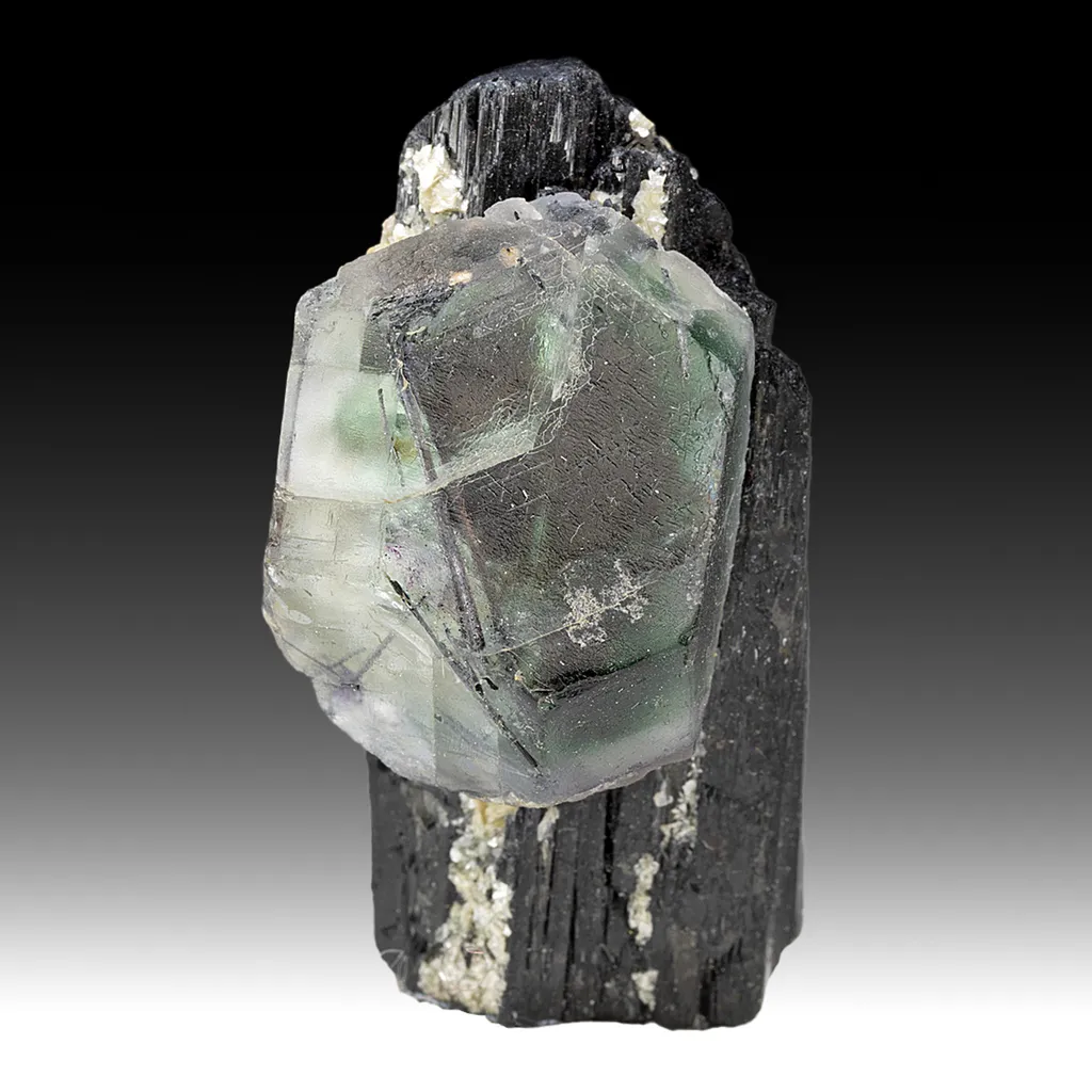 Fluorite with Schorl image