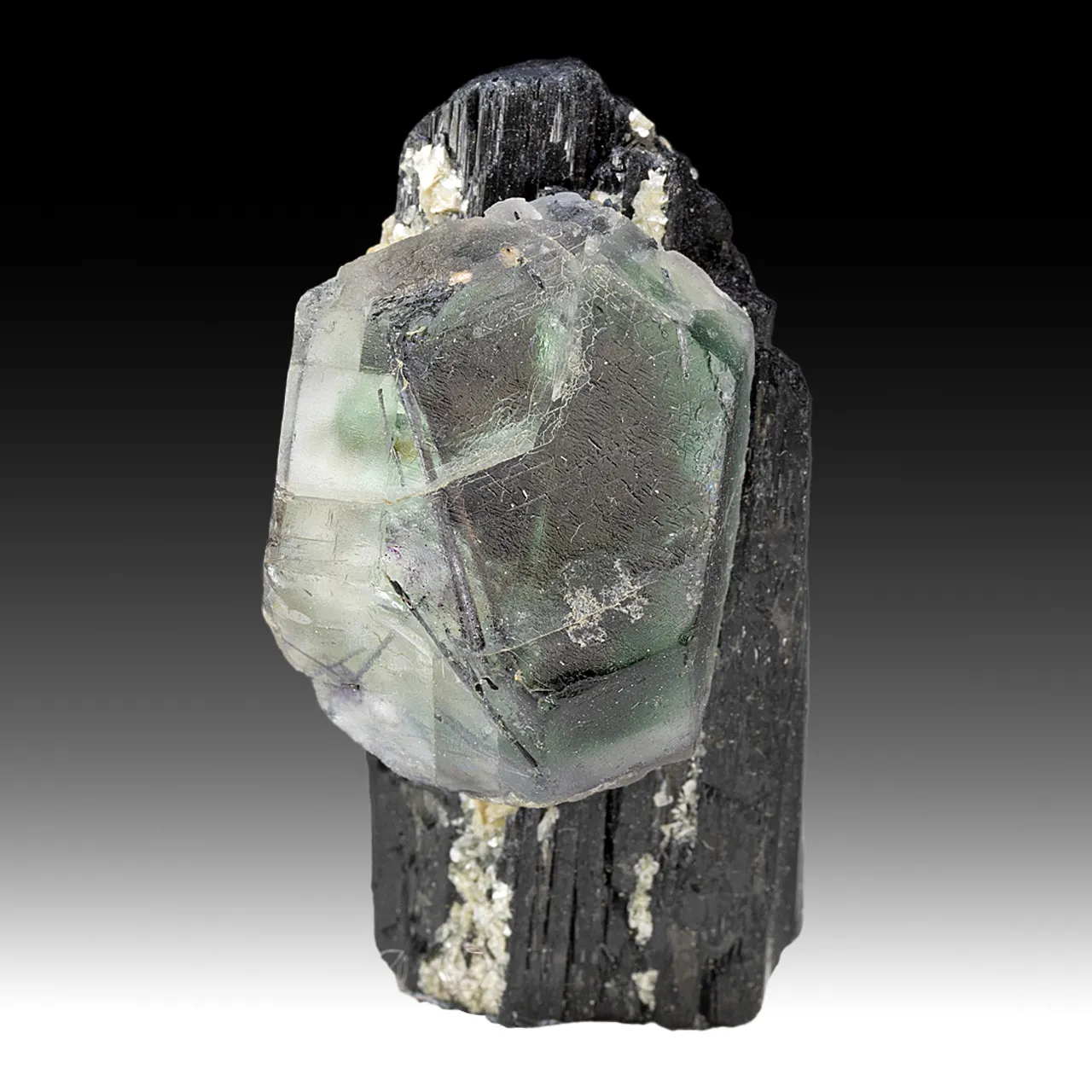 Fluorite with Schorl - image 1