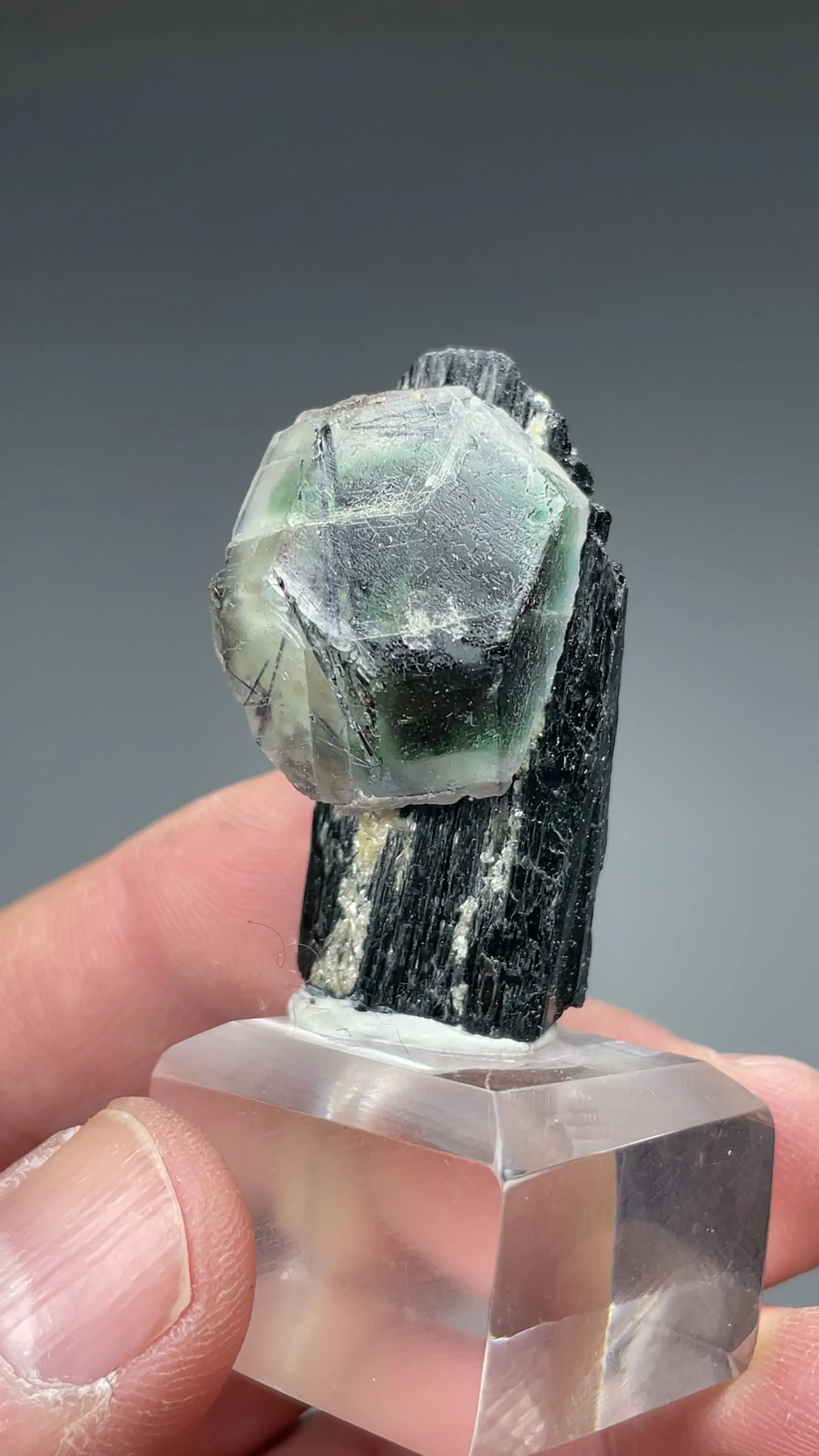 Fluorite with Schorl - image 2