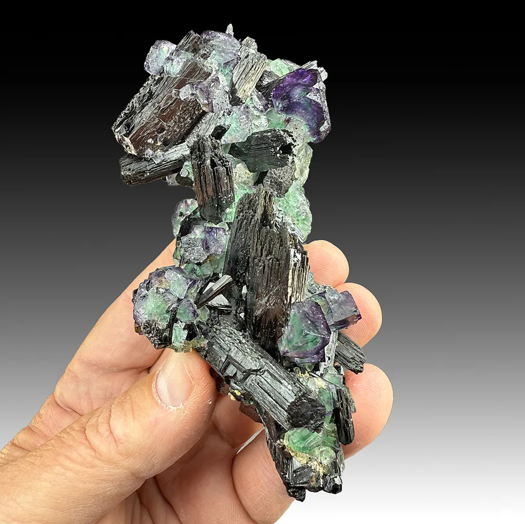Fluorite with Schorl image
