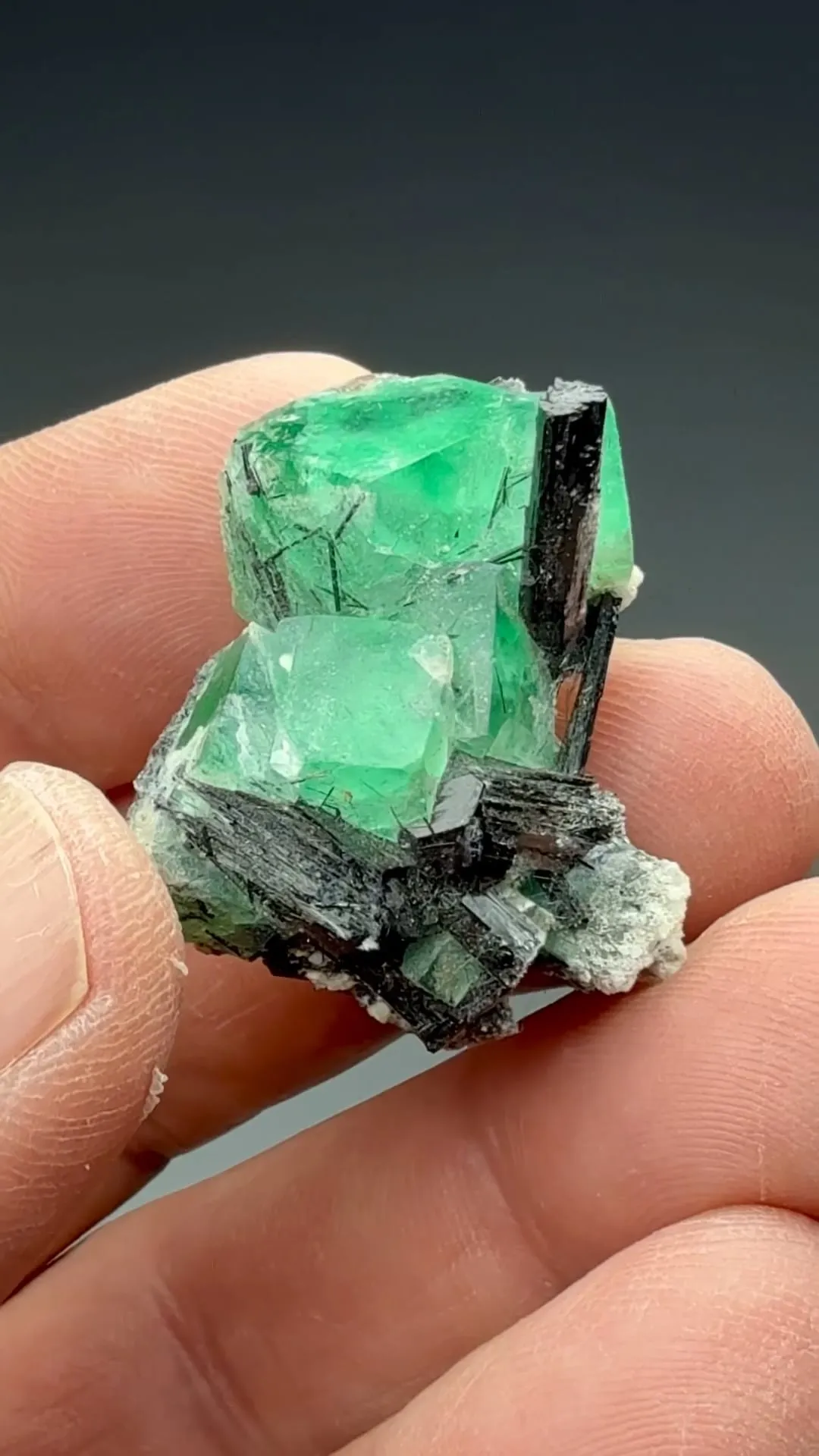 Fluorite with Schorl, Hyalite - image 2