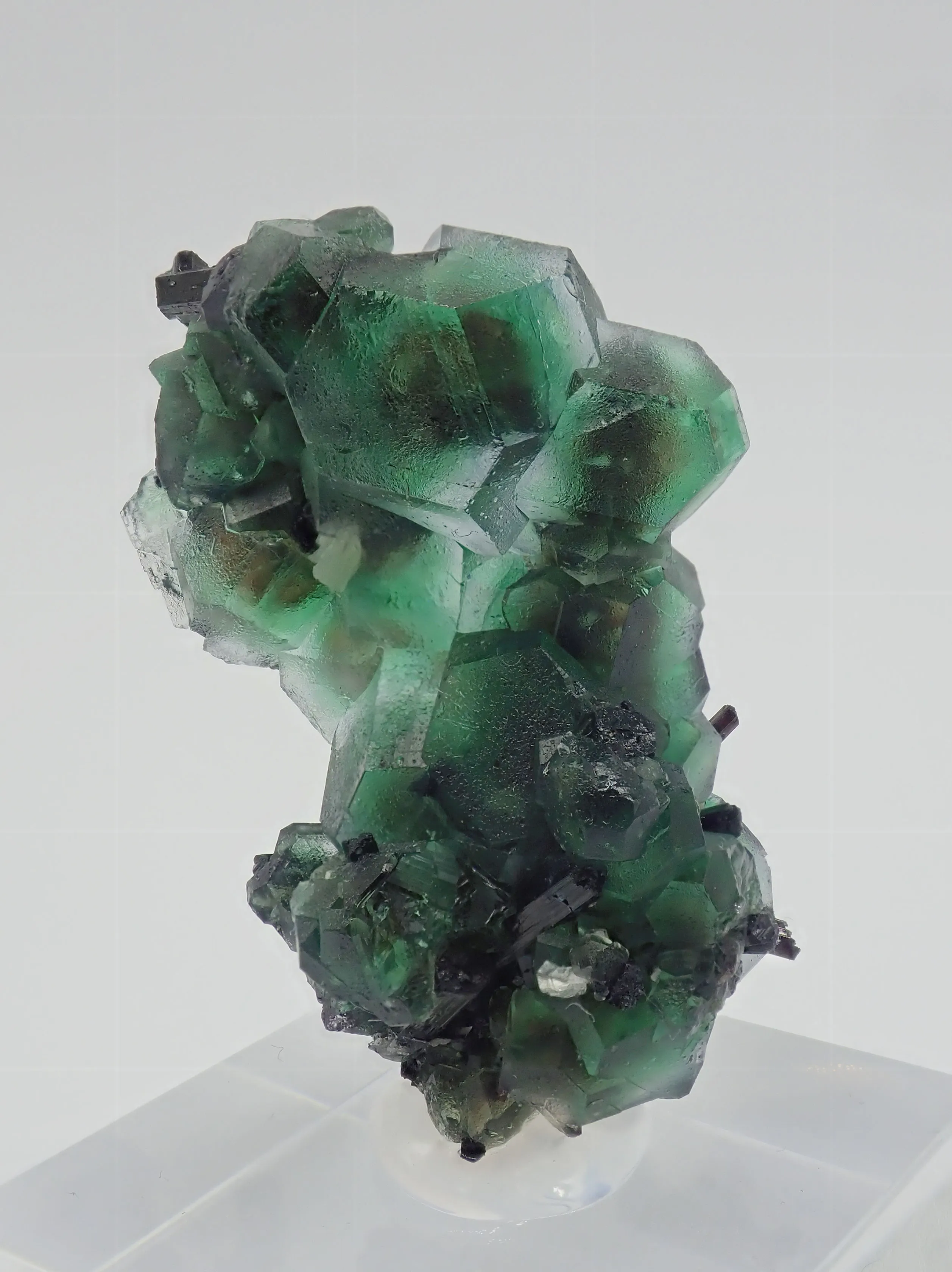 Fluorite with Schorl Tourmaline - image 4