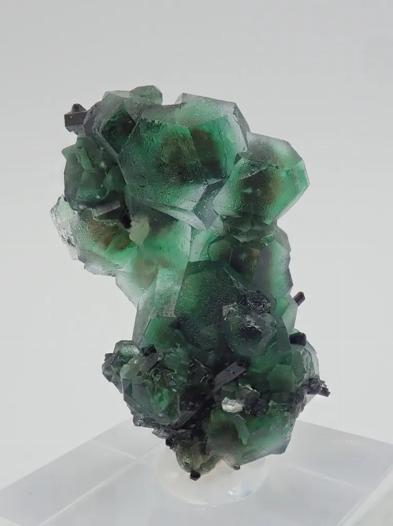 Fluorite with Schorl Tourmaline - image 4