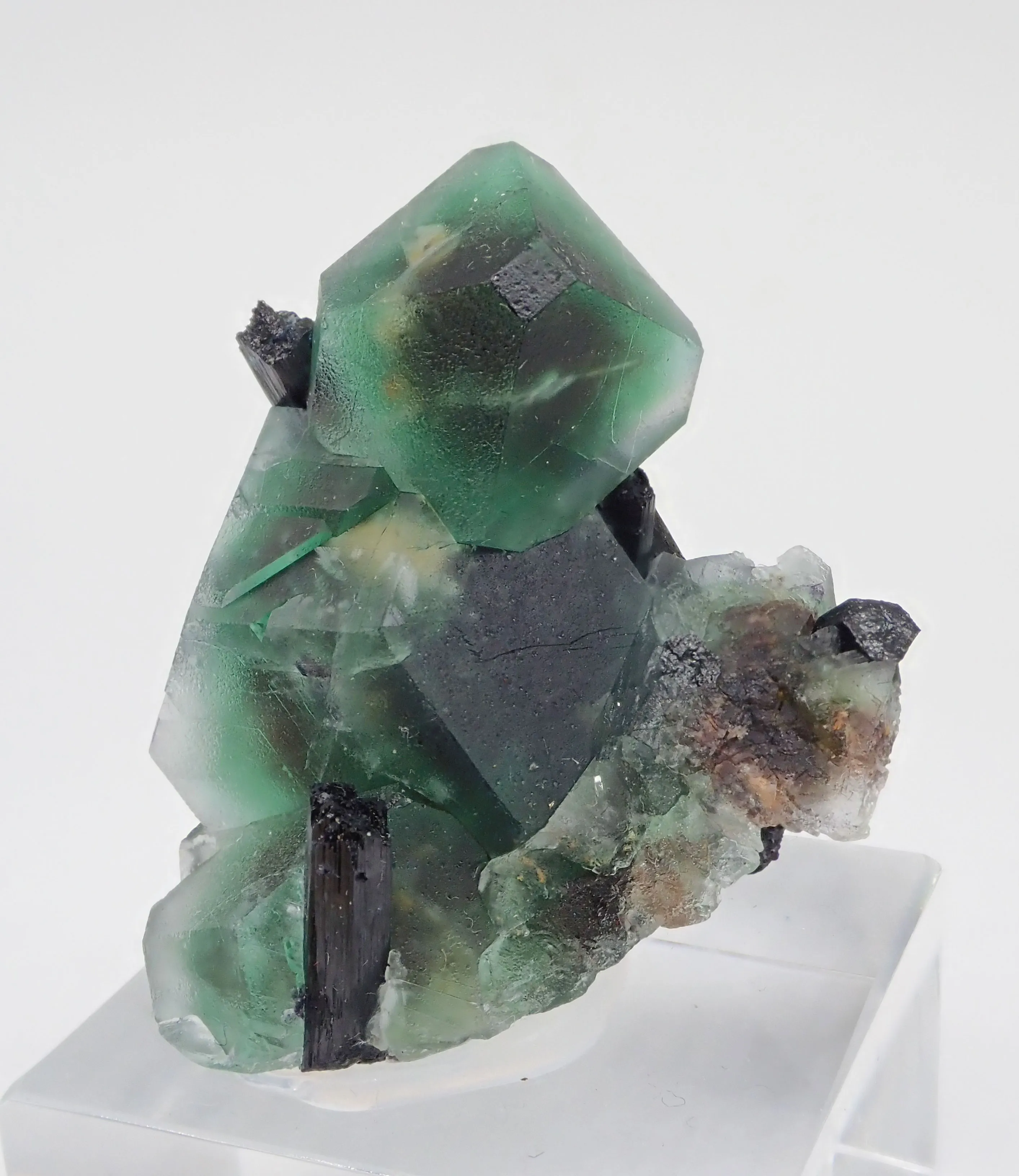 Fluorite with Schorl Tourmaline - image 2
