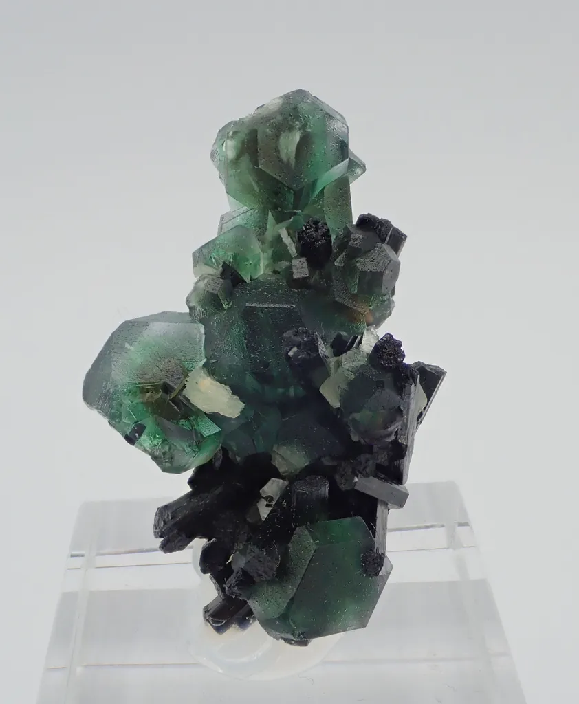 Fluorite with Schorl Tourmaline - image 2