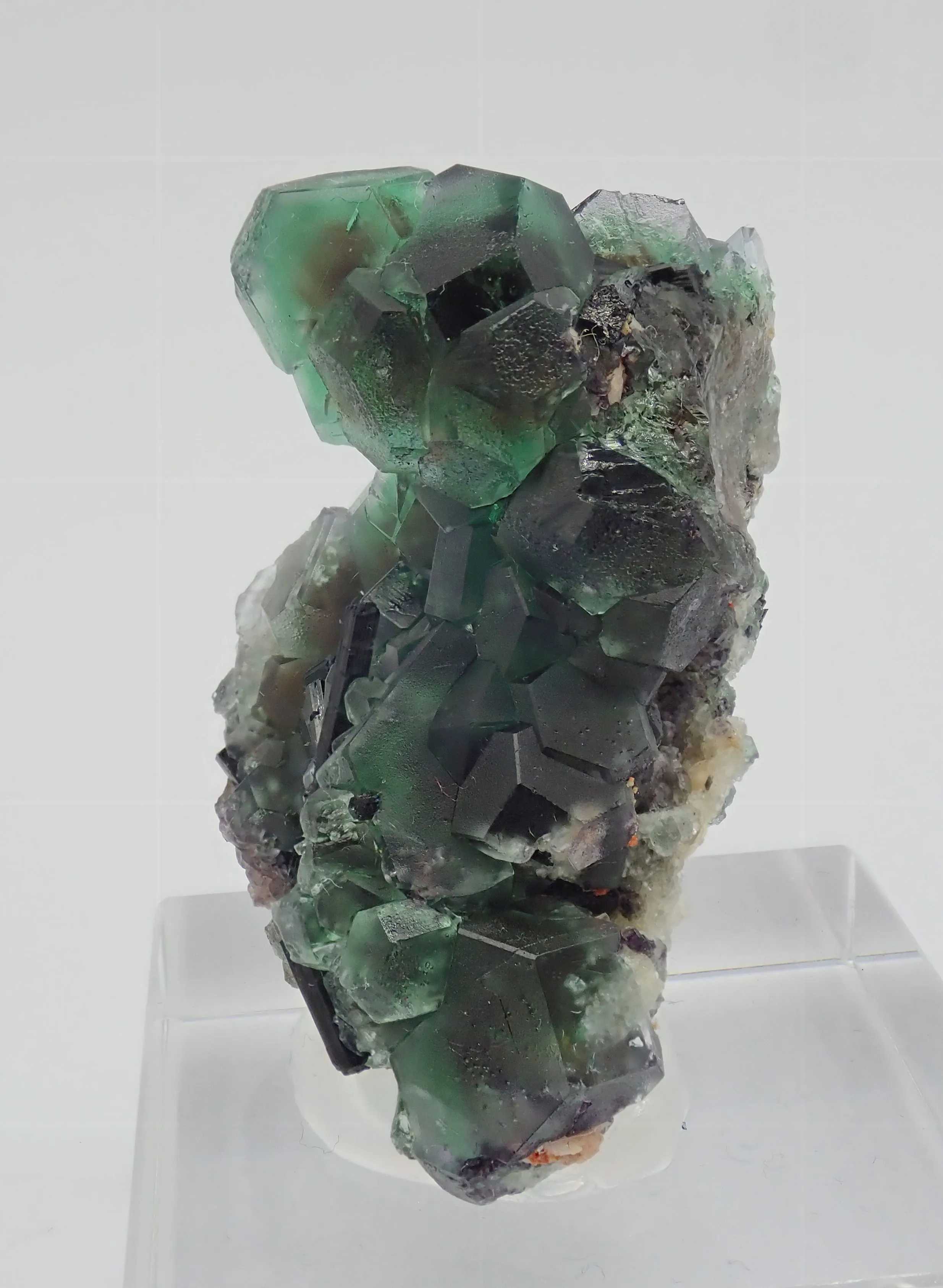 Fluorite with Schorl Tourmaline - image 2
