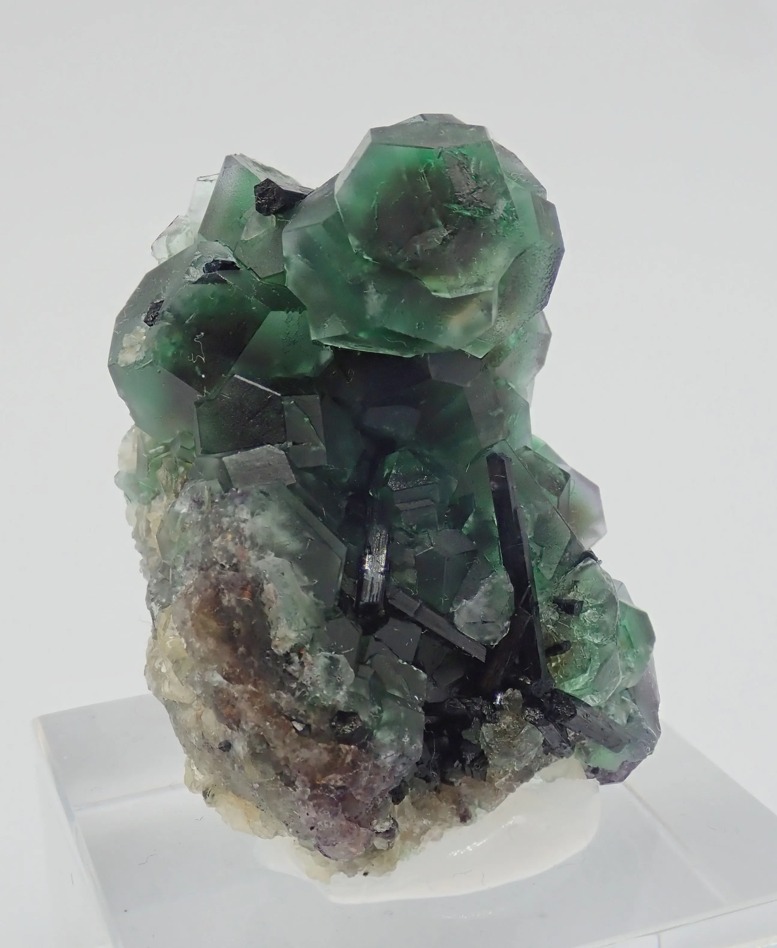 Fluorite with Schorl Tourmaline - image 4