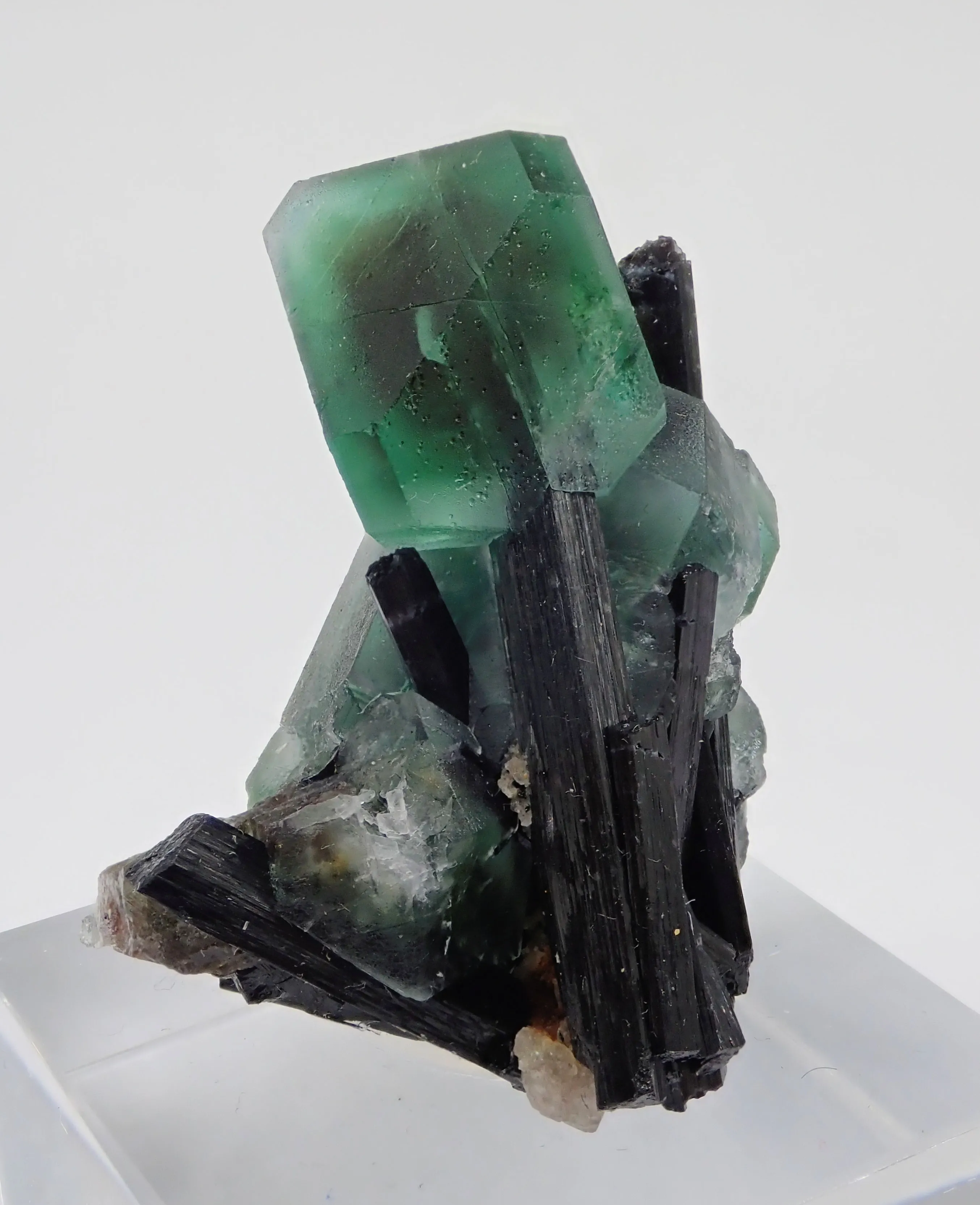Fluorite with Schorl Tourmaline - image 3