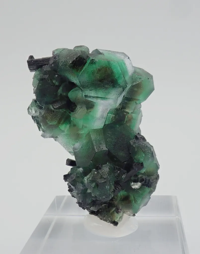 Fluorite with Schorl Tourmaline image