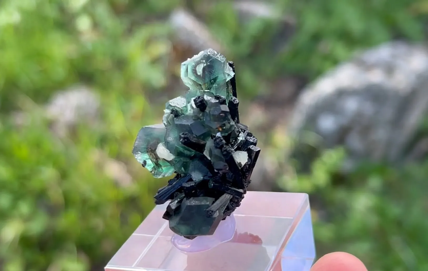 Fluorite with Schorl Tourmaline - image 5