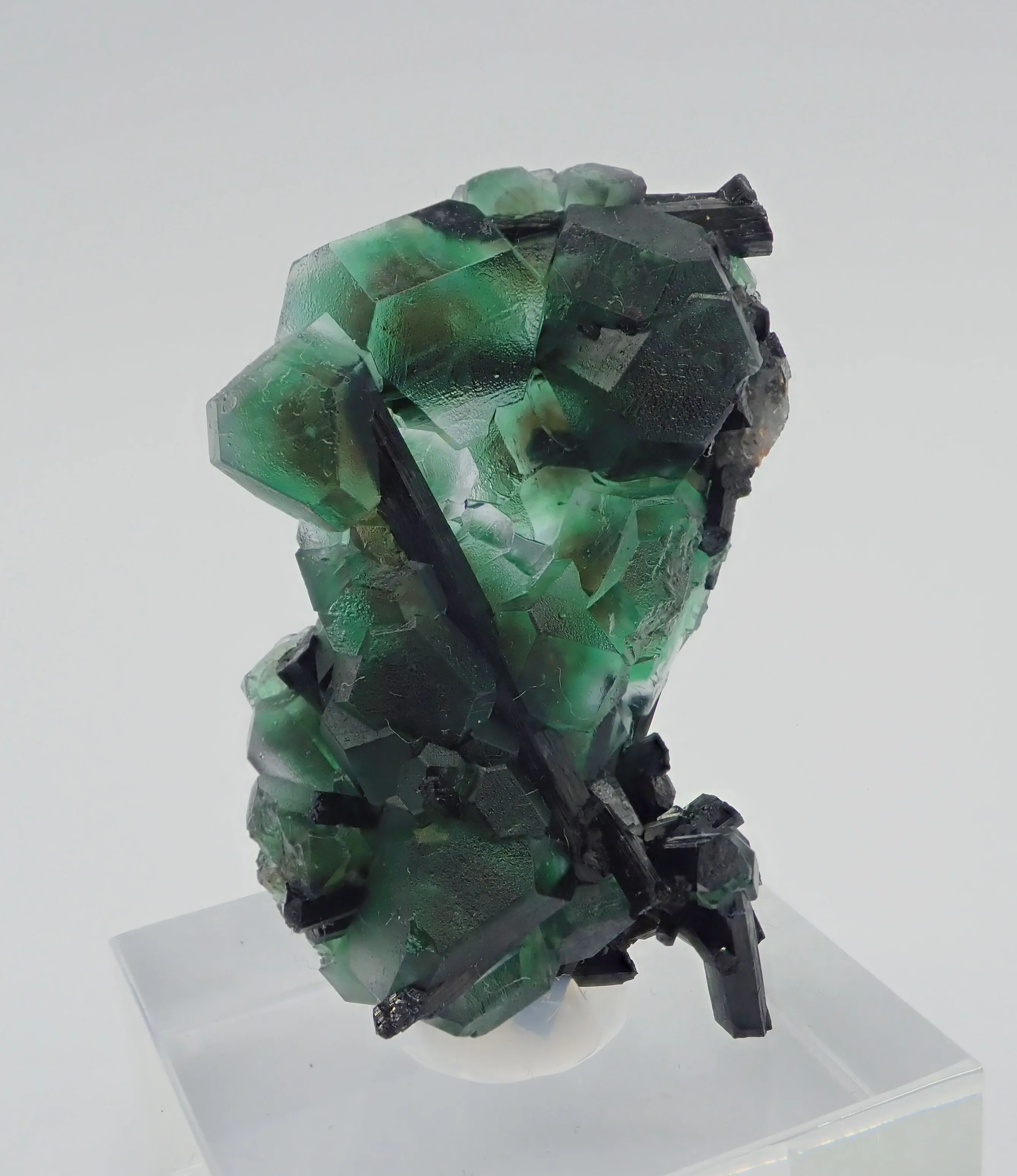 Fluorite with Schorl Tourmaline - image 3