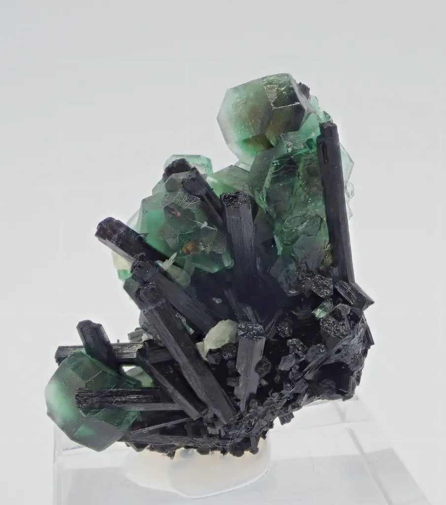Fluorite with Schorl Tourmaline image