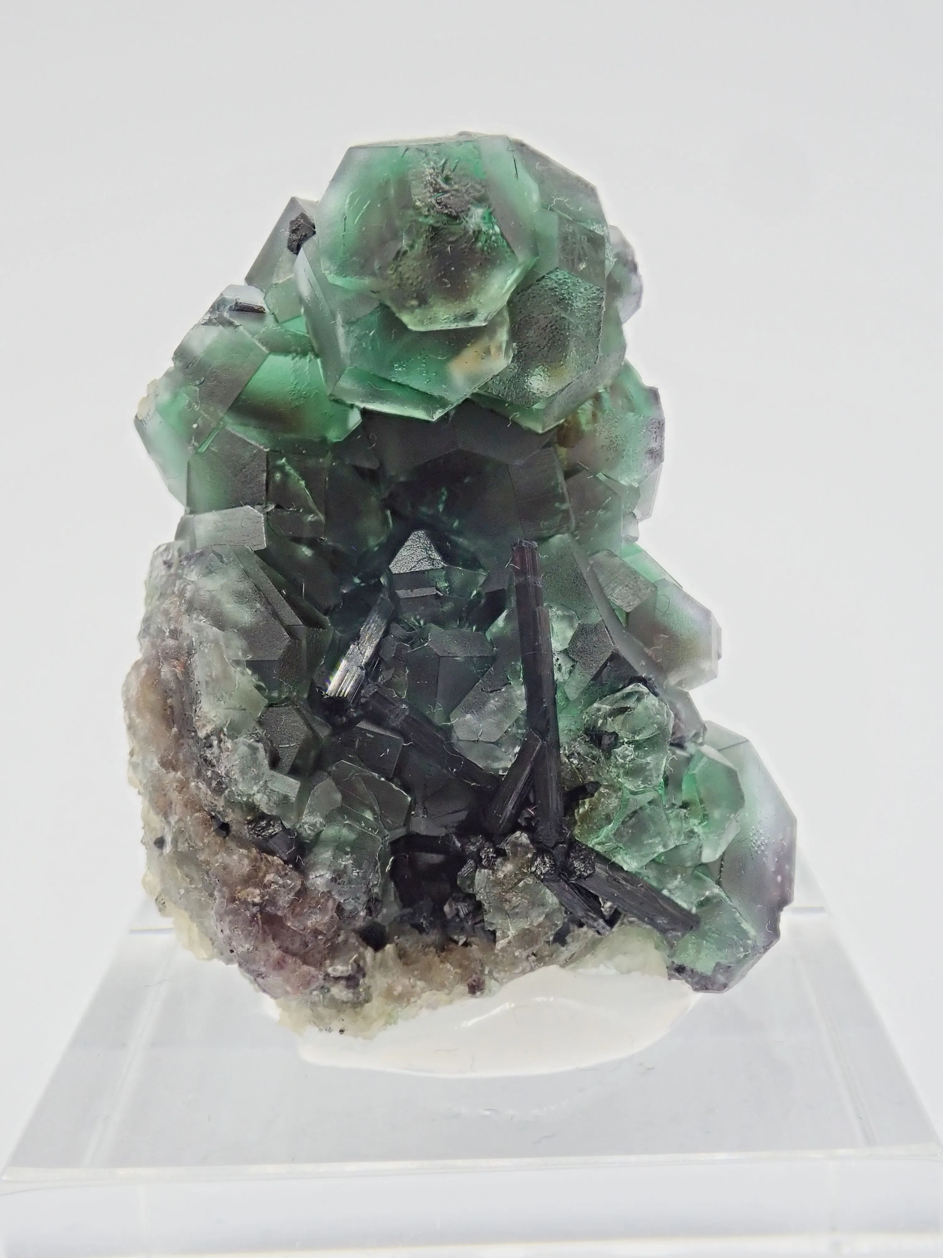 Fluorite with Schorl Tourmaline - image 3