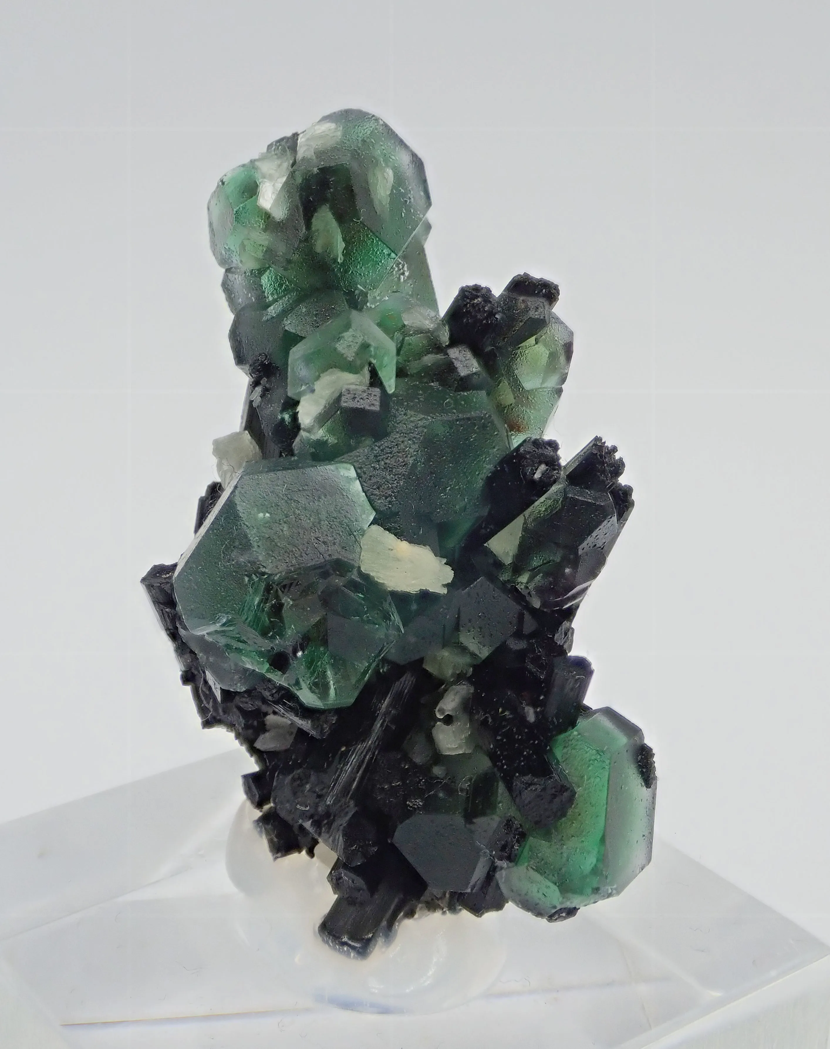 Fluorite with Schorl Tourmaline - image 3