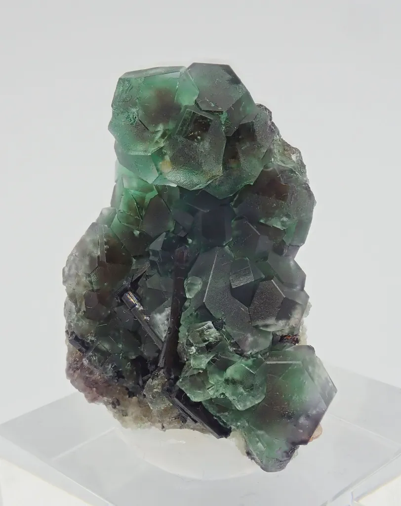 Fluorite with Schorl Tourmaline image
