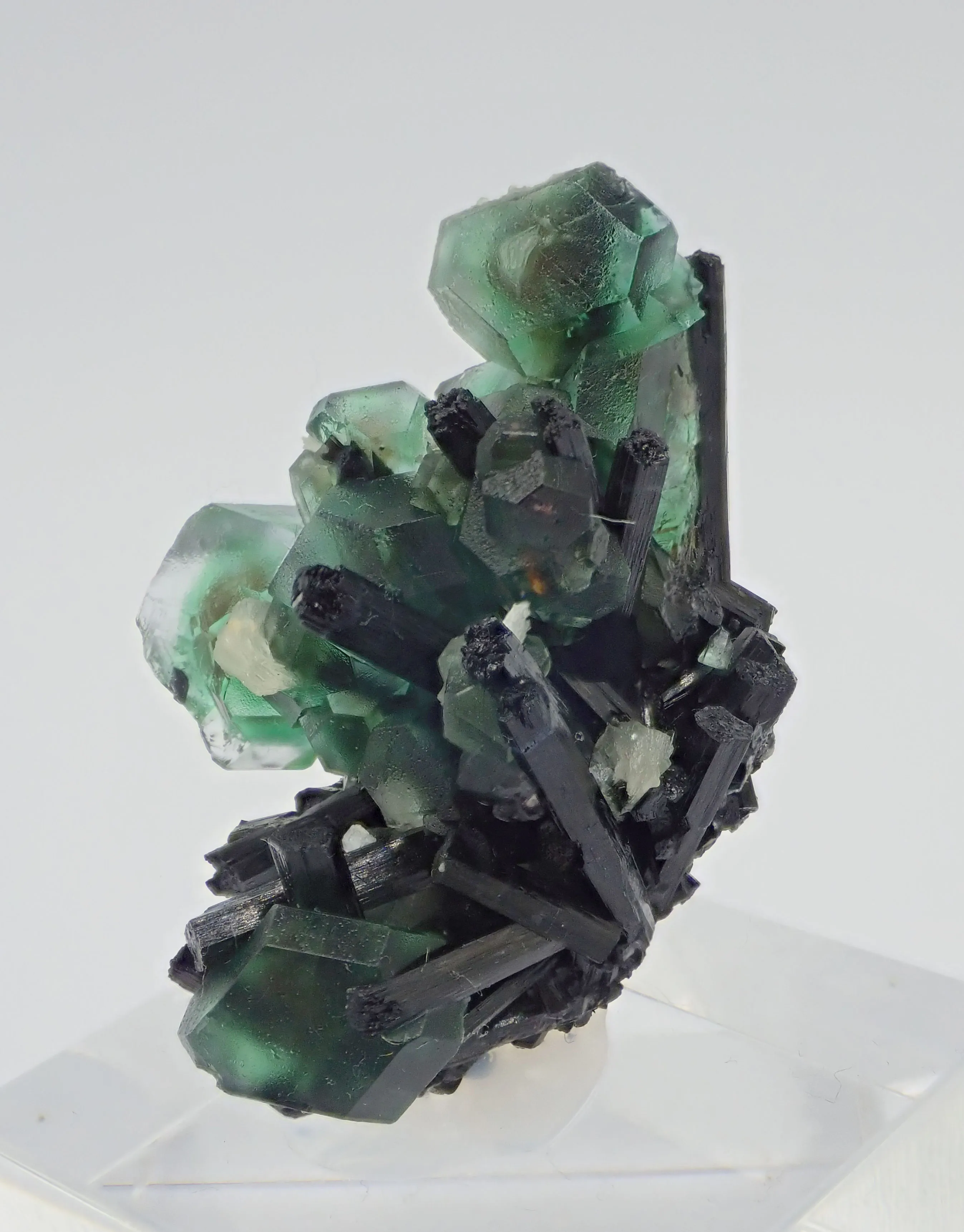 Fluorite with Schorl Tourmaline - image 4