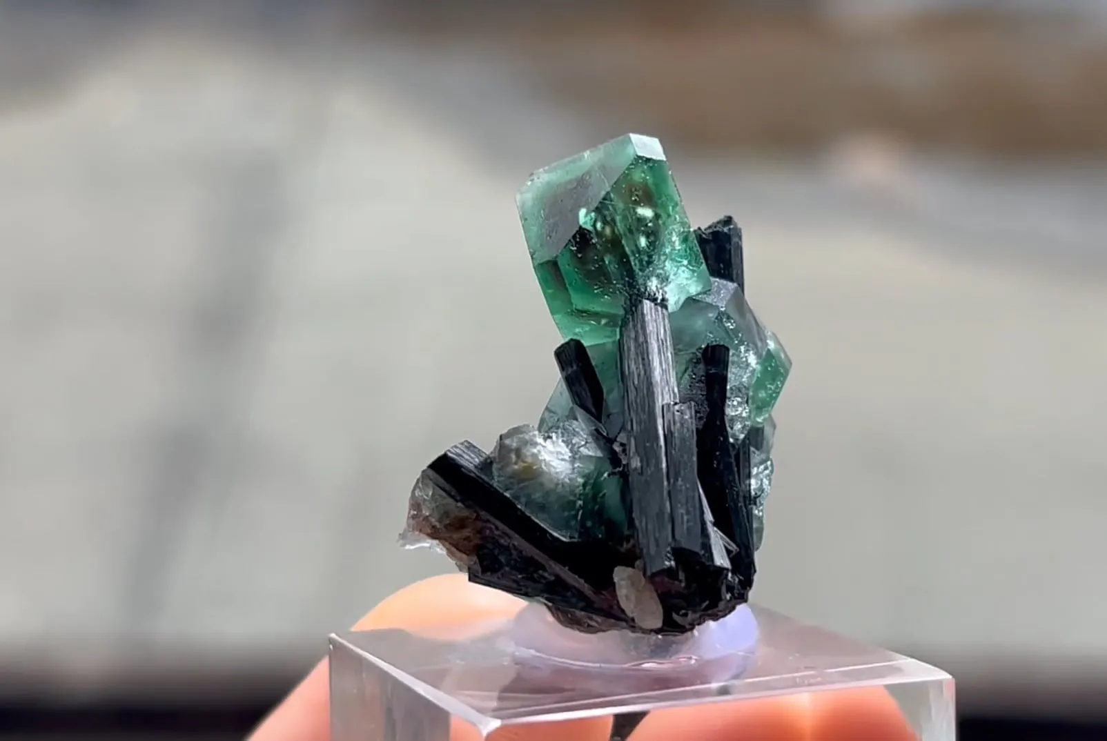Fluorite with Schorl Tourmaline - image 5