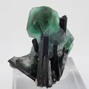 Fluorite with Schorl Tourmaline - image 4